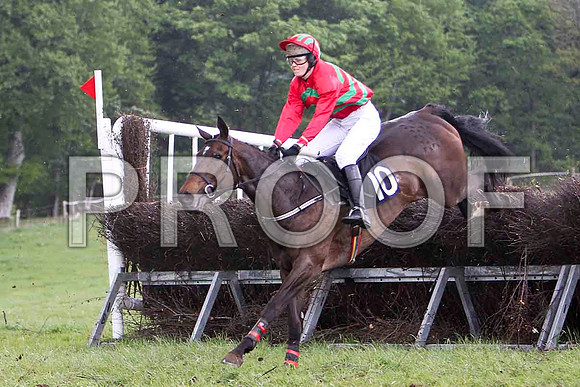 Educated Guess , 7th, Jockey Ms C V Annan  - FT8E2587-e