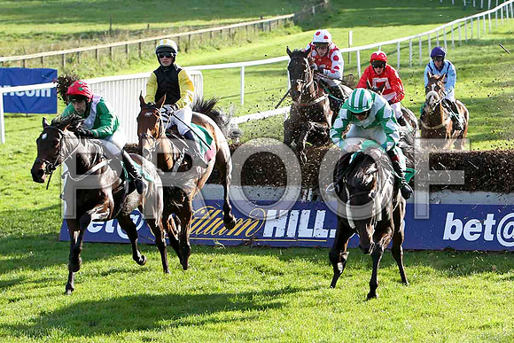 Mountain Heather (2nd left) Jockey D G Hogan - Winner - CU2D9319-e