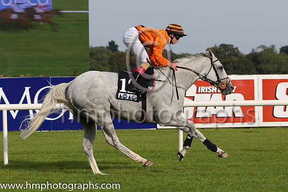 15 Dalasiri and R P Downey - - 15th (12 ,orange, black panel ) Trainer - Miss S J Harty