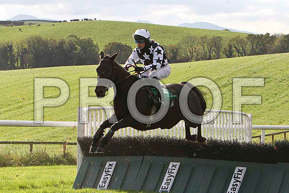 Croi Laidir , Jockey A P Thornton - U - CU2D9213-e