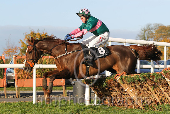 01 Gambling Girl & R M Power - winner (8,dark green, pink hoop ) - FT8E9978