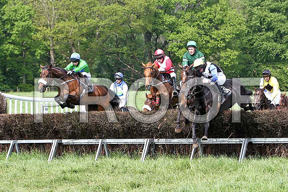 Fifth Race Div 2 -  - CU2D9686-e