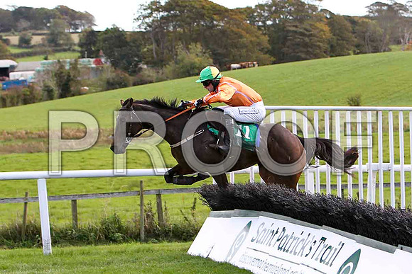 Ziyari , Jockey M Darcy - 6th - CU2D9182-e