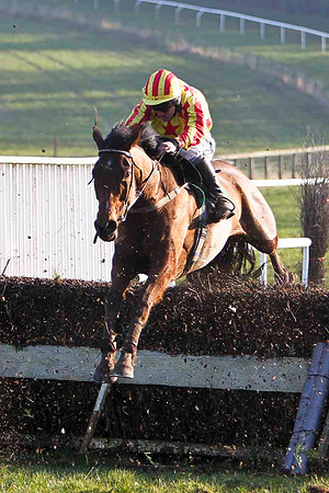 The Book Thief 5th, Jockey P T Enright - FT8E0521-e