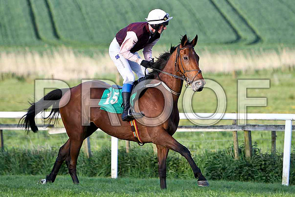 Rose of Fairyhill , 4th, Jockey Mr J T Carroll - FT8E3132-e