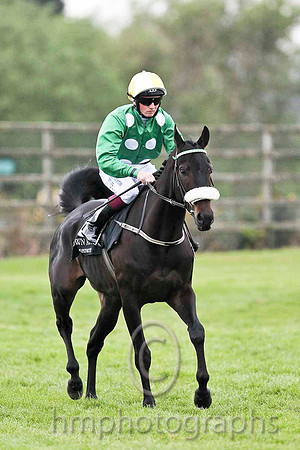 R7 - Torthai Beachta 10th, Jockey C D Hayes  - FT8E0588-e