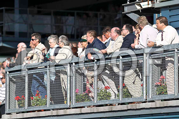 Spectators - FT8E1024-e