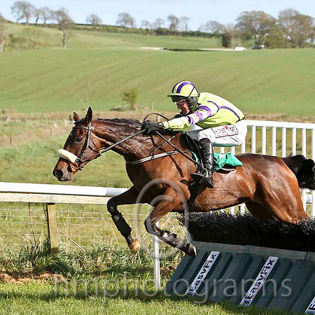 Celtic Cailin & R M Power - 2nd (9, light green, purple sleeves) - FT8E3207-e