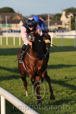 1st No 3 Park Rebel (IRE) (2) - Jockey: C D Hayes - Trainer: P D Deegan - Colours: darj blue, pink triple diamond