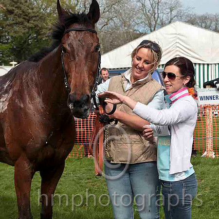Aces Or Better , Winner , Jockey - J J Codd -CU2D4554-e
