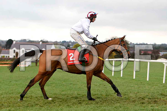 Pandorama , Jockey Paul Carberry - Withdrawn - CU2D1184-e