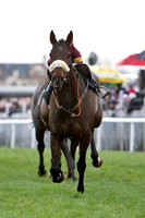 2010/11/06th - Race 6 - Down Royal  - Rainbow Telecom Handicap Chase