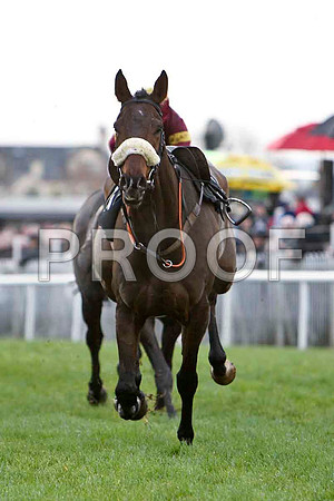 Riderless Horse - CU2D1249-e