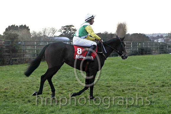 Hildisvini , Jockey Mr M  Fogarty - 6th - FT8E4897-e