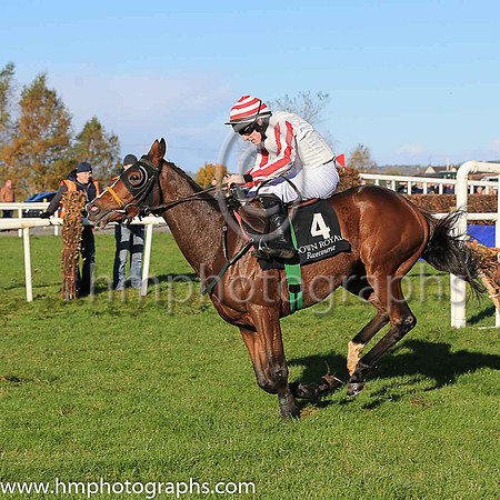 04th Dodgybingo and S W Flanagan ( 4 , white, red striped sleeves ) Trainer - N Meade , Owner - Mrs M Cahill