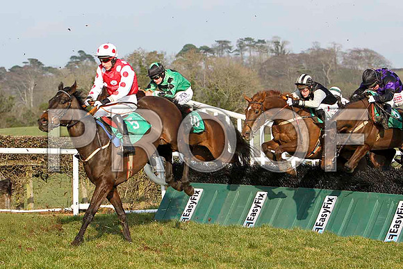 Breeze With ease 6th, Eddie Zero - Winner, Jockey R C Colgan , Kellytown Jacl - Fell & Arctic Mick  - Unseated Rider - FT8E0477-e