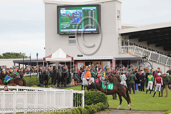 The parade ring at Downpatrick Race Course