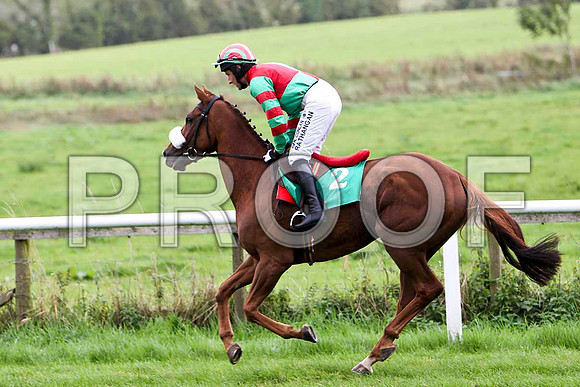 Claragh Native , Jockey P W Flood - 8th - CU2D2329-e