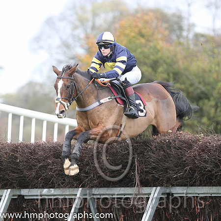 02 Serious Times and N O'Rourke - - 02nd (3 ,dark blue, yellow disc ) Trainer - Pater Maher