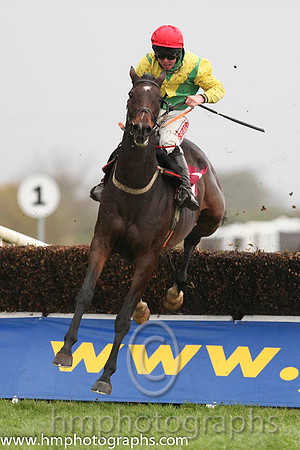 02 Sizing Europe & A E Lynch - 2nd (7, emerald green yellow chevron ) - IMG_8092-40