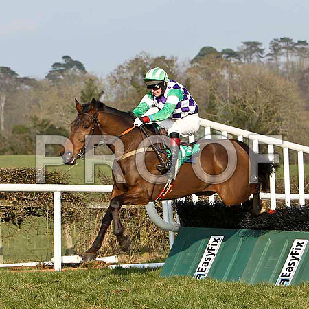 Lookoutnow - 2nd , Jockey R C Colgan -FT8E0471-e