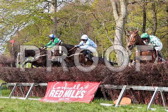 Miss Miyagi (11) , Winner, Jockey - J J Codd - CU2D4674-e