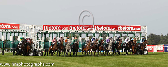 The start of Race 3