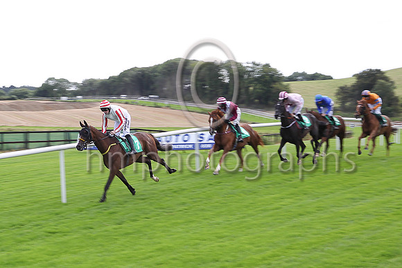06th Dodgybingo and S W Flanagan ( 7 , white,red and white stried sleeves ) Trainer - N Meade , Owner - Mrs M Cahill