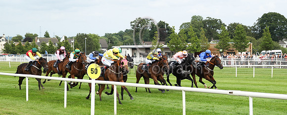 01st Fine Distraction (8 , white, yellow diamonds ) Jockey: C T Keane , Trainer: Liam McAteer