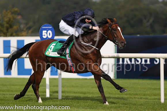 01 John F Kennedy and J P O'Brien - - 01st (5 ,dark blue ) Trainer - A P O'Brien