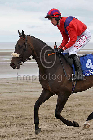 Open the Window , 8th , Jockey S J Hassett - FT8E4104-e