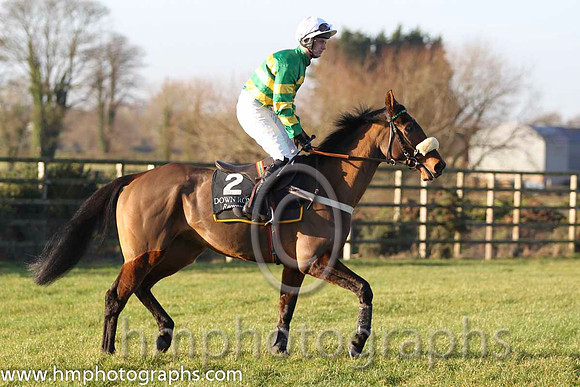 04 Fahamore & N P Madden - 4th (2, emerald green and orange hooped) - FT8E1507-24