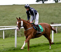 2010/07/13th - Race 2 - 1520 - Downpatrick - The Baileys Breeders Handicap Hurdle of 7,000 Euro