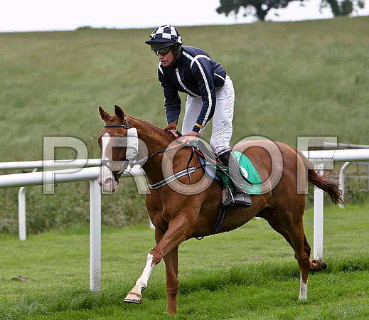 Hawksbury Heights PU, Jockey B J Geraghty - CU2D0801-e