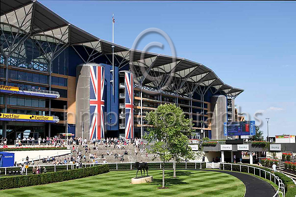 Ascot - IMG_9932-e