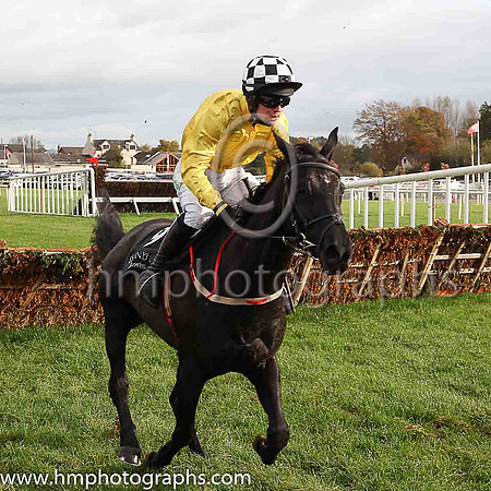 PU Little Missserious and D E Splaine ( 9 , yellow ) Trainer - P J McKenna , Owner - Patrick J McKenna