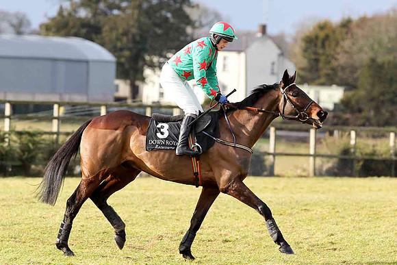 Allee Garde - Winner, Jockey P Townend - CU2D3162-e