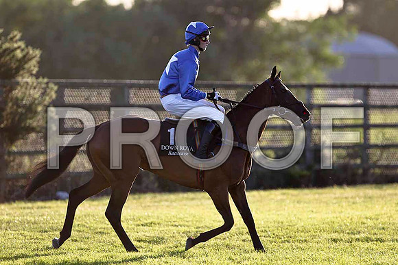 Benefit of Porter 6th, Jockey Mr N J Redmond - FT8E1165-e