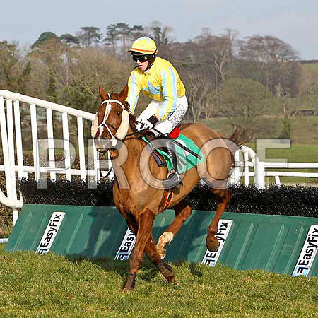 Serious Twine - PU, Jockey K M Donoghue - FT8E0483-e