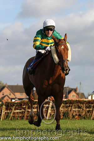 16 Dear Boss & A P McCoy - 16th (10, emerald green and orange hooped) - FT8E9944-67