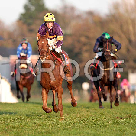 Big Generator - 2nd , Jockey Mr B O'Neill - CU2D9977-e