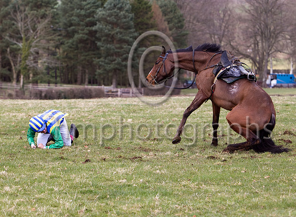 Second Race - Greciemm PU , jockey D A Treacy - CU2D7074-e3a4j
