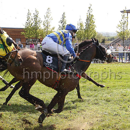 16th Intercounty Star and C D Maxwell ( 8 , royal blue, yellow hoops ) Trainer - D A McLoughlin , Owner - David Eiffe