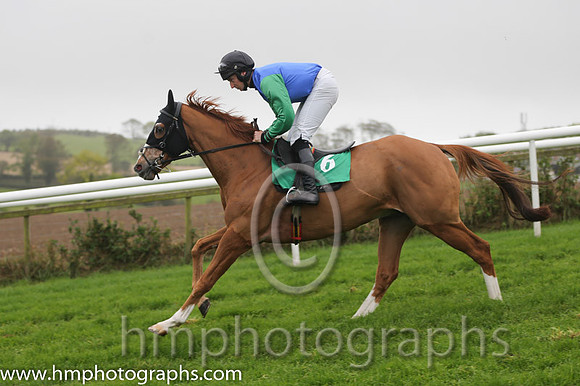 06 Forced Kin and M J Bolger - - 06th (6 ,blue, green sleeves ) Trainer - R K Watson