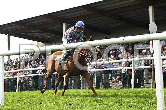 Andwhatever Else crosses the line in 9th place; Jockey J D Moore - FT8E3089-e