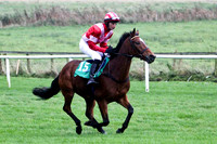 Banian , 11th - Jockey Mr A J Doyle - FT8E5249-e