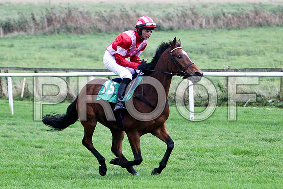 Banian , 11th - Jockey Mr A J Doyle - FT8E5249-e