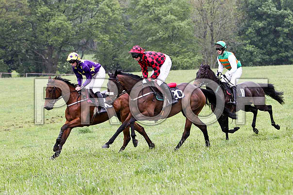 Made You Look Good, 3rd, Jockey - G M Mangan , Odd One Out , RO, Jockey - J J Codd & Ile Do My Best , PU , Jockey P J Flood -  - FT8E2640-e