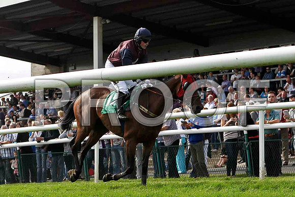 Box Breaker crosses the line in 6th place, Jockey K H Clarke- FT8E3083-e