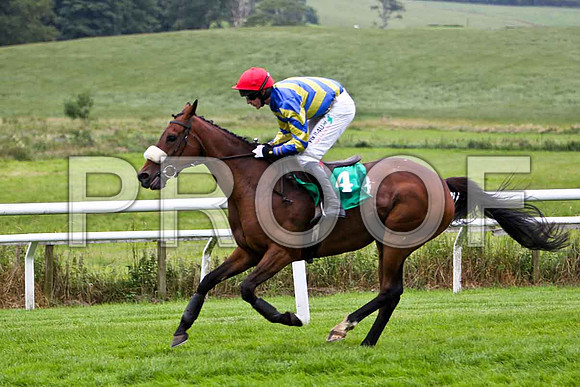 An Tarbh Donn 11th, Jockey R Loughran - CU2D0938-e